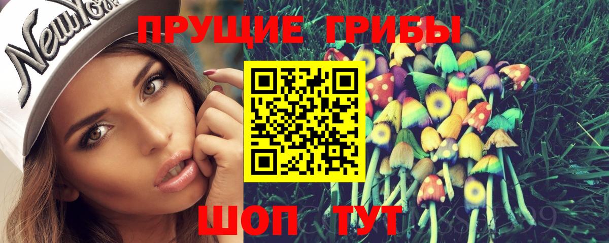 Зима  Галлюциногенные грибы Cubensis  Вход с VPN 